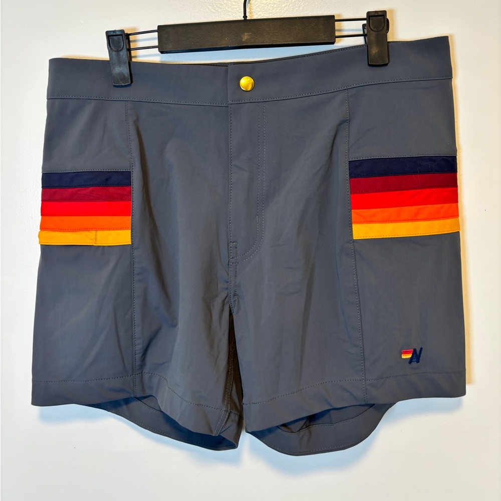 Aviator Nation Gray Board Shorts with Rainbow Stripe Panels